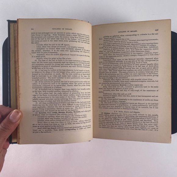 1895 Handbook of British Flora by George Bentham - Picture 6 of 13